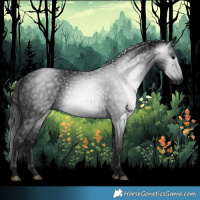 Horse Color:Gray Black 