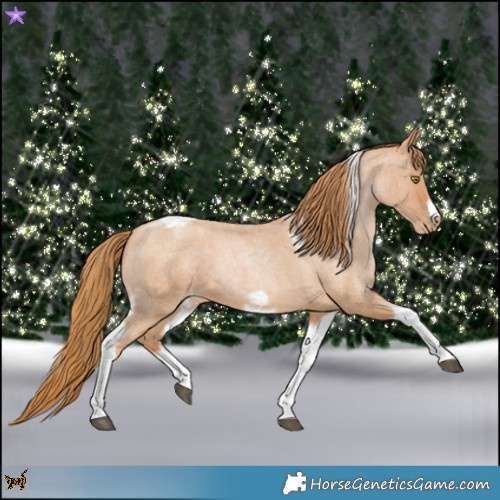Horse Color:Red Roan Pearl Tobiano Frame 