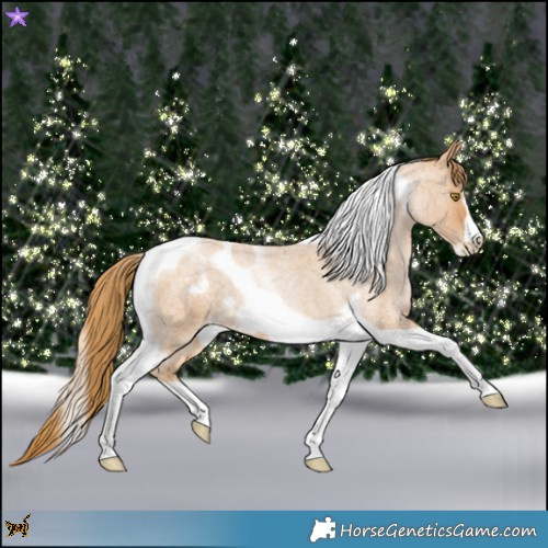 Horse Color:Red Roan Pearl Tobiano Frame 