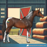 Horse Color:Bay Tobiano Varnish 