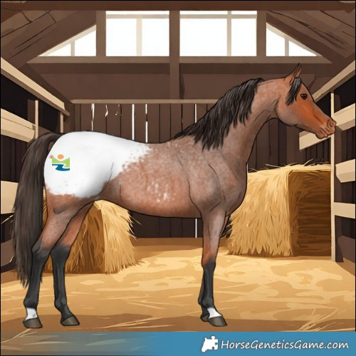 Horse Color:Bay Roan Snowcap 