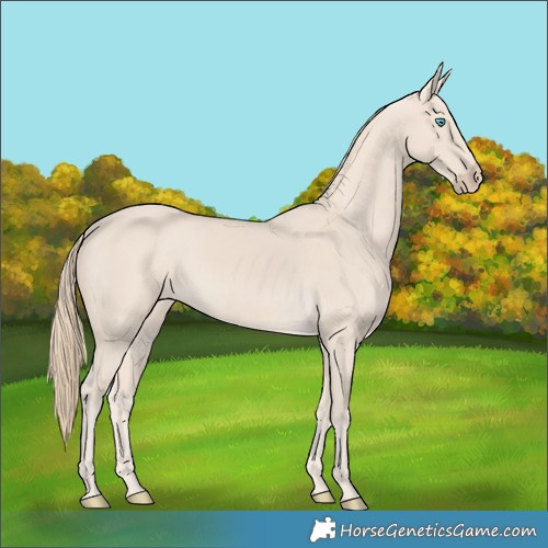 Horse Color:Smoky Creme 
