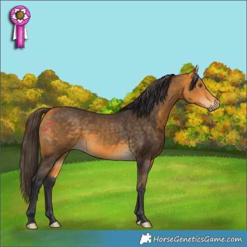 Horse Color:Buckskin Rabicano