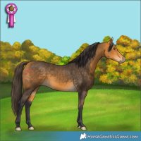 Horse Color:Buckskin Rabicano
