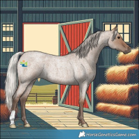 Horse Color:Silver Grullo Roan
