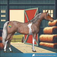 Horse Color:Silver Brown Roan Tobiano 