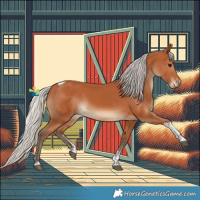 Horse Color:Silver Bay Sabino Tobiano Rabicano