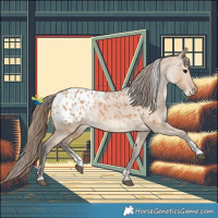 Horse Color:Powder White Bay Dun Blanket Rabicano 