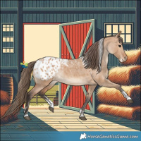 Horse Color:Powder White Bay Dun Appaloosa Rabicano 