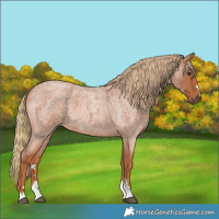 Horse Color:Red Roan 