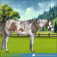 Horse Color:Bay Splash Tobiano Varnish  and Bay Splash Tobiano Varnish 