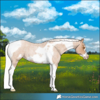 Horse Color:Silver Blue Roan Pearl Tobiano Frame 