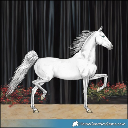 Horse Color:Gray Silver Buckskin Splash Tobiano Varnish 