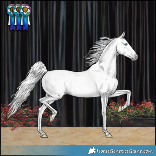 Horse Color:Gray Silver Perlino Splash Tobiano Varnish 