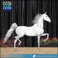 Horse Color:Gray Silver Perlino Splash Tobiano Varnish 
