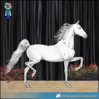 Horse Color:Gray Silver Perlino Splash Tobiano Varnish 