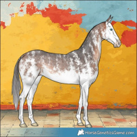 Horse Color:Bay Sabino Splash Rabicano 