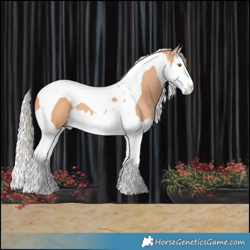 Horse Color:White Spotted Silver Classic Champagne Splash Tobiano 