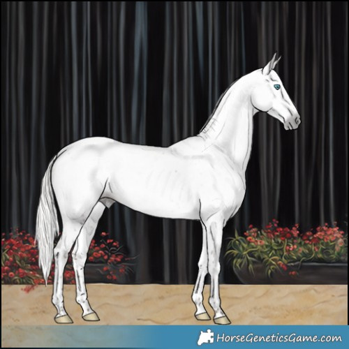 Horse Color:Gray Silver Black Splash Tobiano Varnish 