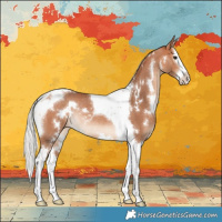 Horse Color:White Spotted Silver Bay Splash Tobiano Rabicano 