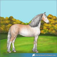 Horse Color:Gray Cremello Splash  and Gray Cremello Splash 