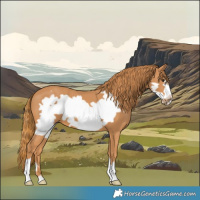 Horse Color:Chestnut Frame