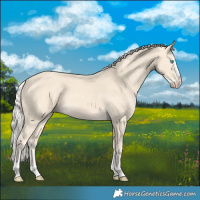 Horse Color:Cremello Splash  and Cremello Splash 