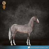Horse Color:Silver Brown Roan Rabicano 
