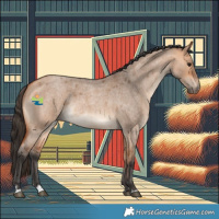 Horse Color:Bay Roan Dun Rabicano 