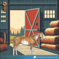 Horse Color:White Spotted Palomino 