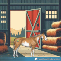 Horse Color:White Spotted Palomino 