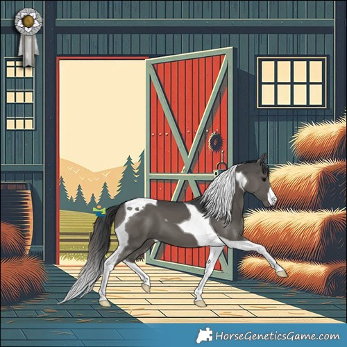 Horse Color:Black Tobiano 