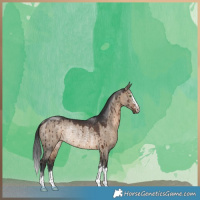 Horse Color:Brown Dun Rabicano Brindle 