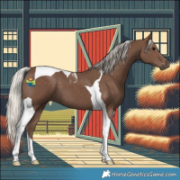 Horse Color:Silver Black Tobiano 