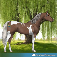 Horse Color:Silver Black Tobiano