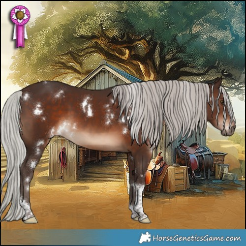 Horse Color:White Spotted Silver Brown Tobiano 