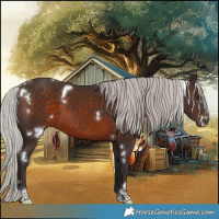 Horse Color:White Spotted Silver Brown Tobiano 