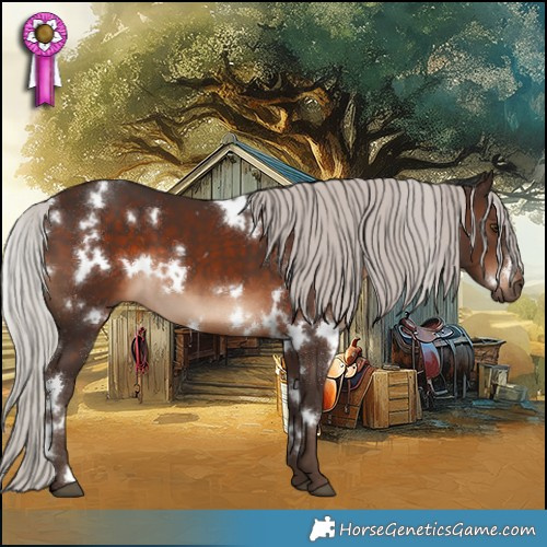 Horse Color:White Spotted Silver Brown