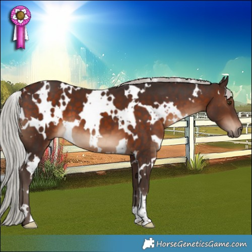 Horse Color:White Spotted Silver Brown 