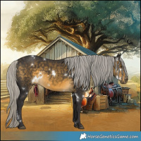 Horse Color:White Spotted Silver Buckskin 
