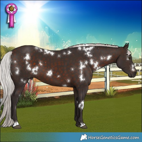 Horse Color:White Spotted Silver Brown 
