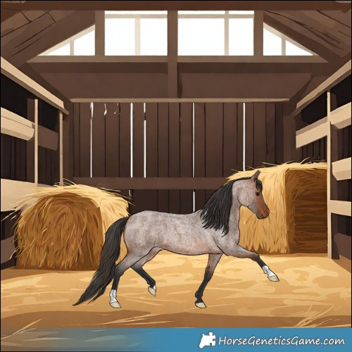 Horse Color:Bay Roan 