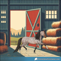 Horse Color:Bay Roan 