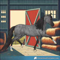 Horse Color:Smoky Blue Roan 