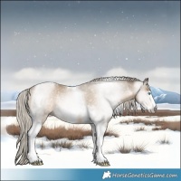 Horse Color:Gray Silver Smoky Black Pearl Tobiano Frame Rabicano 