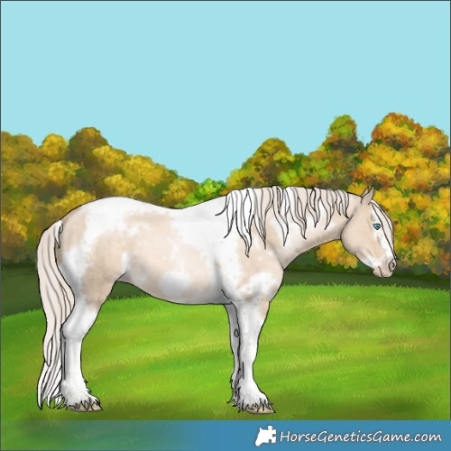 Horse Color:White Spotted Chocolate Palomino Pearl Dun Splash Tobiano Frame Rabicano 