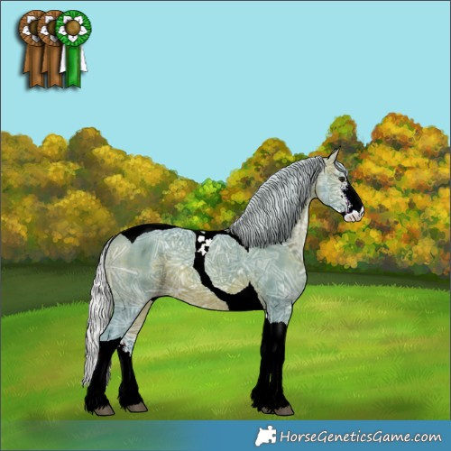 Horse Color:Watercolor Silver Brown Ice Sabino Tobiano Rabicano 
