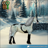 Horse Color:Watercolor Silver Brown Ice Sabino Tobiano Rabicano
