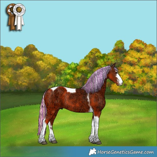 Horse Color:Painted Silver Brown Ice Sabino Tobiano Rabicano 