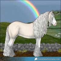 Horse Color:Cremello Splash  and Cremello Splash 